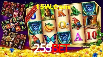 255Bet Rio de Janeiro - Slot Strategy