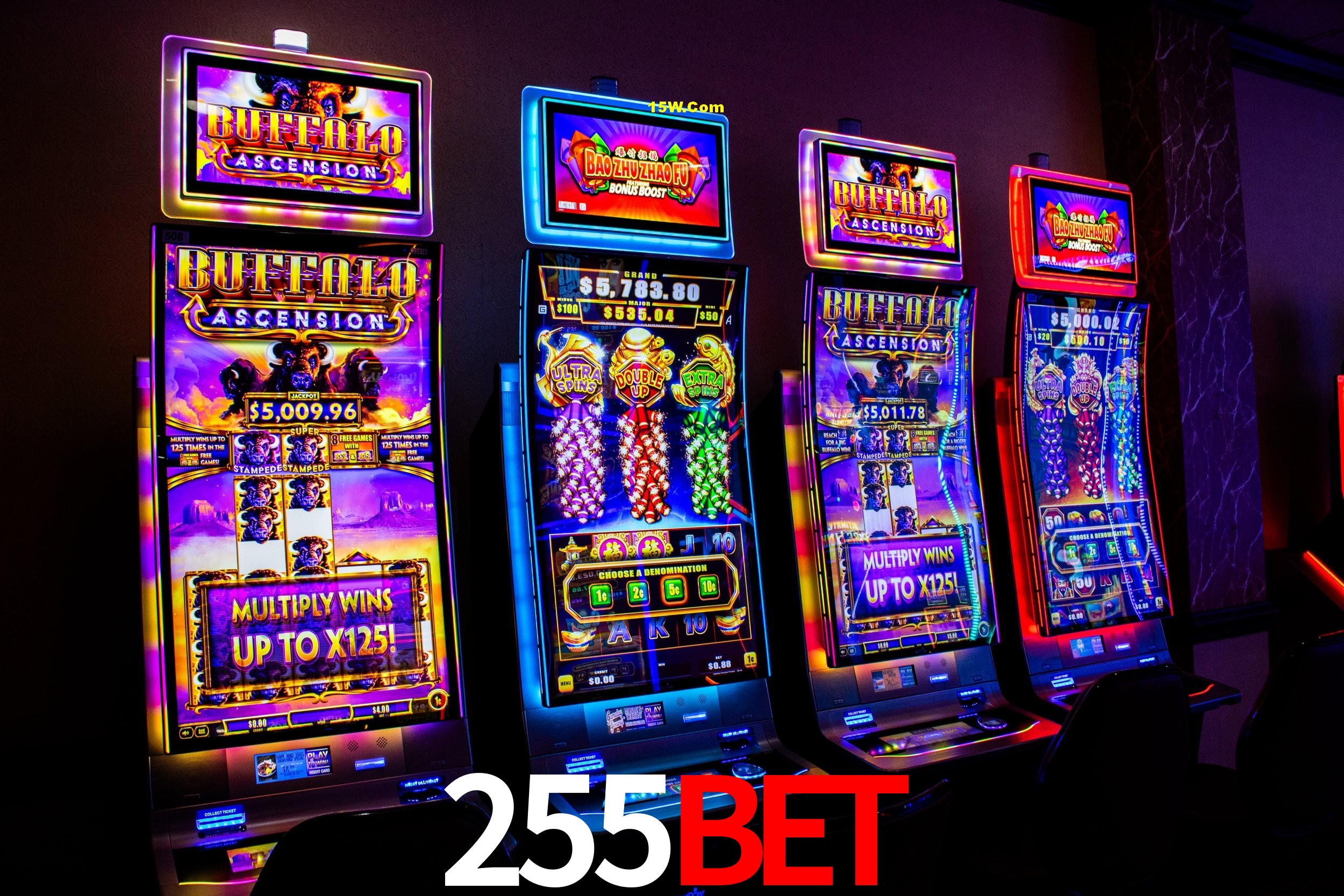 Security Systems 255Bet